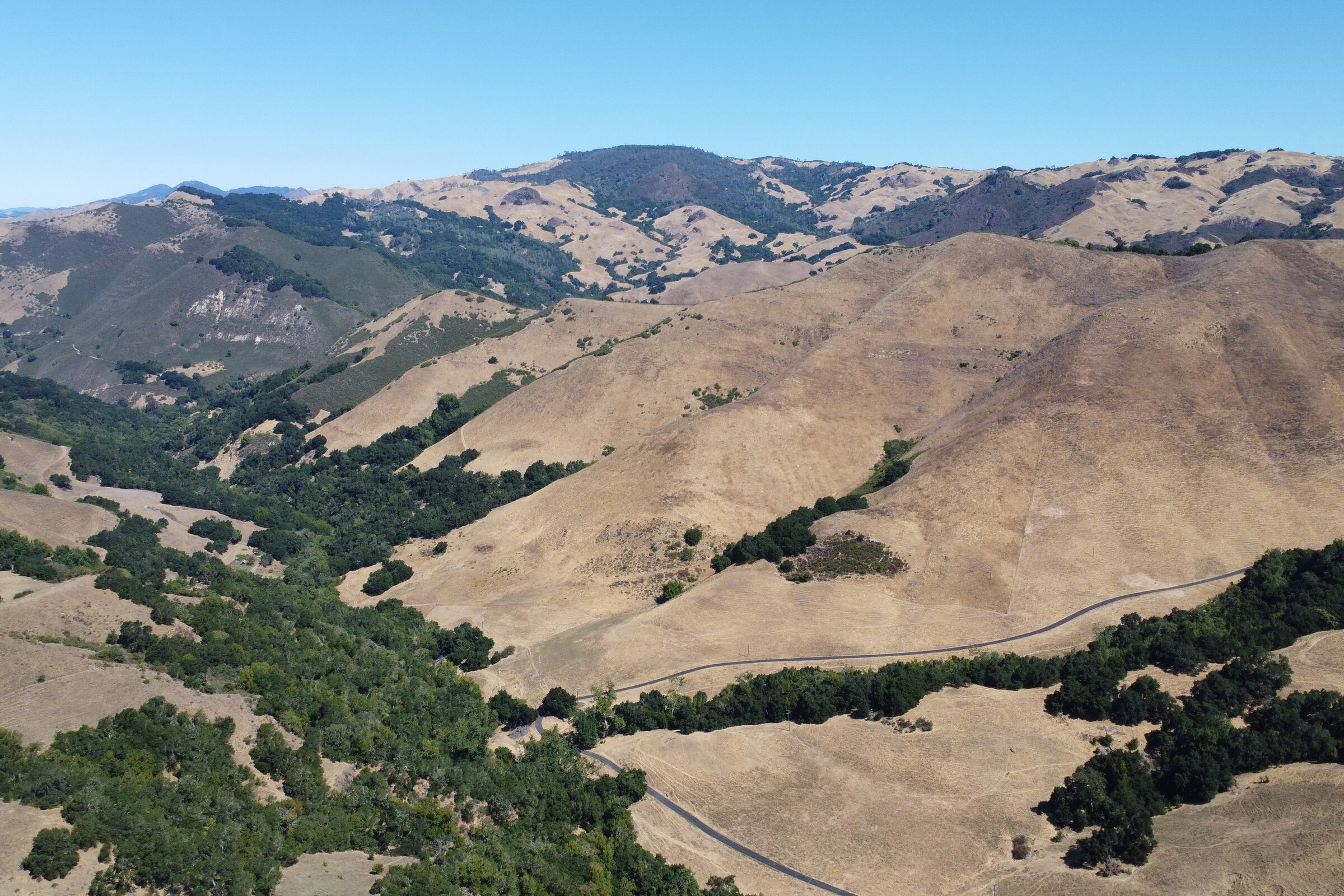 Golden California rolling hills with a thin road winding through the valley.